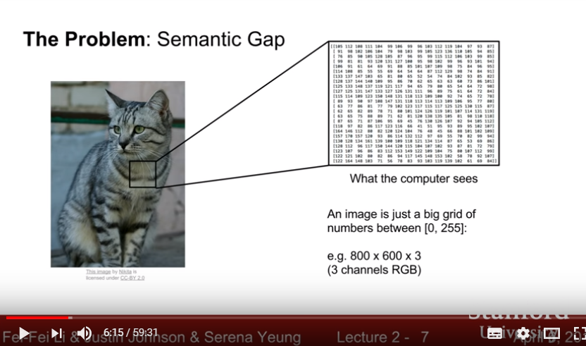 Semantic Gap