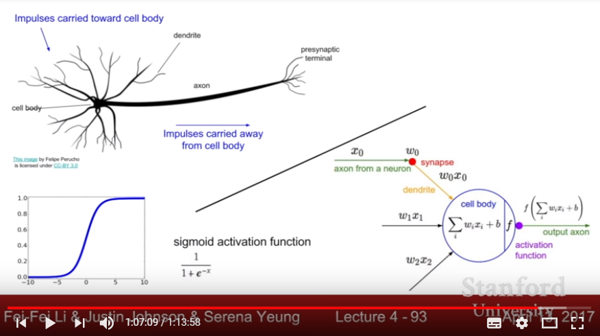 How Neuron actually works