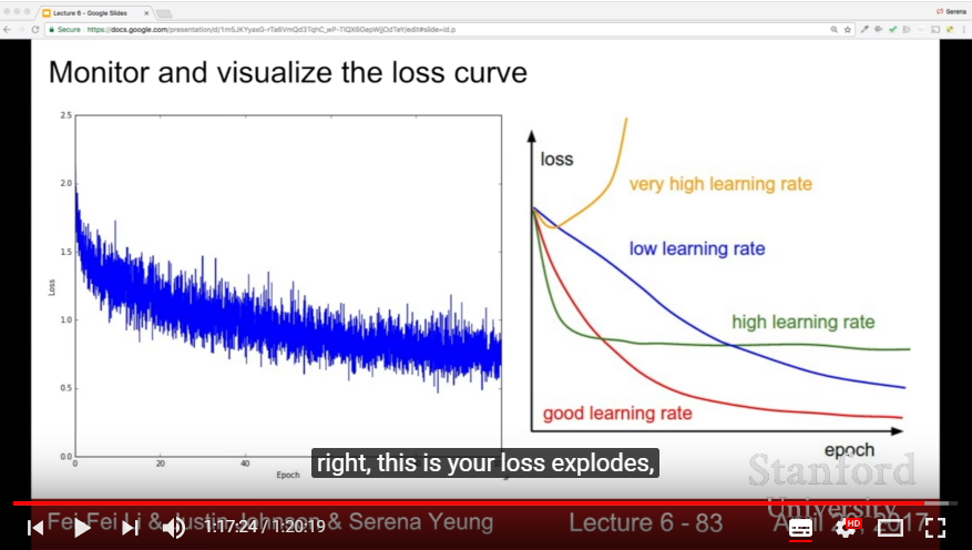 Monitering Loss Curve