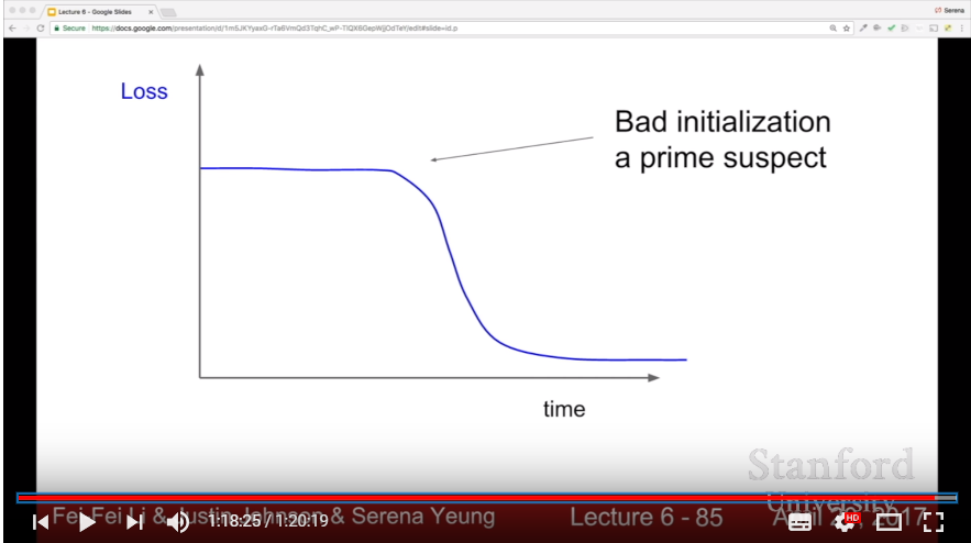 Monitering Loss Curve 2